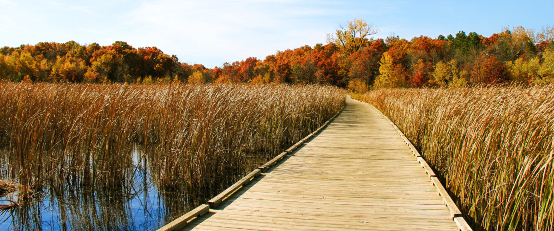 Exploring Anoka County Parks: What You Need to Know