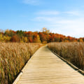 Exploring Anoka County Parks: What You Need to Know