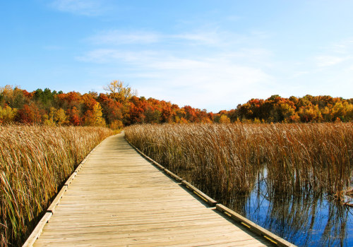 Exploring Anoka County Parks: What You Need to Know