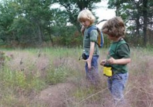 Exploring the Great Outdoors in Anoka County